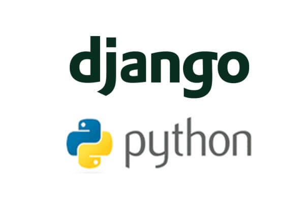 Python web frameworks in production (1): Web app for medical sector