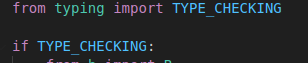 disable type checking python